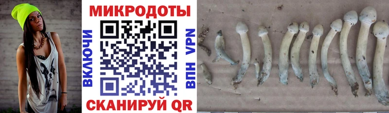 Галлюциногенные грибы GOLDEN TEACHER  Купить закладки  Черемхово 